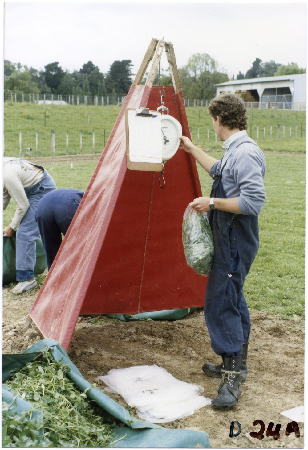 Measuring bagged grass clippings