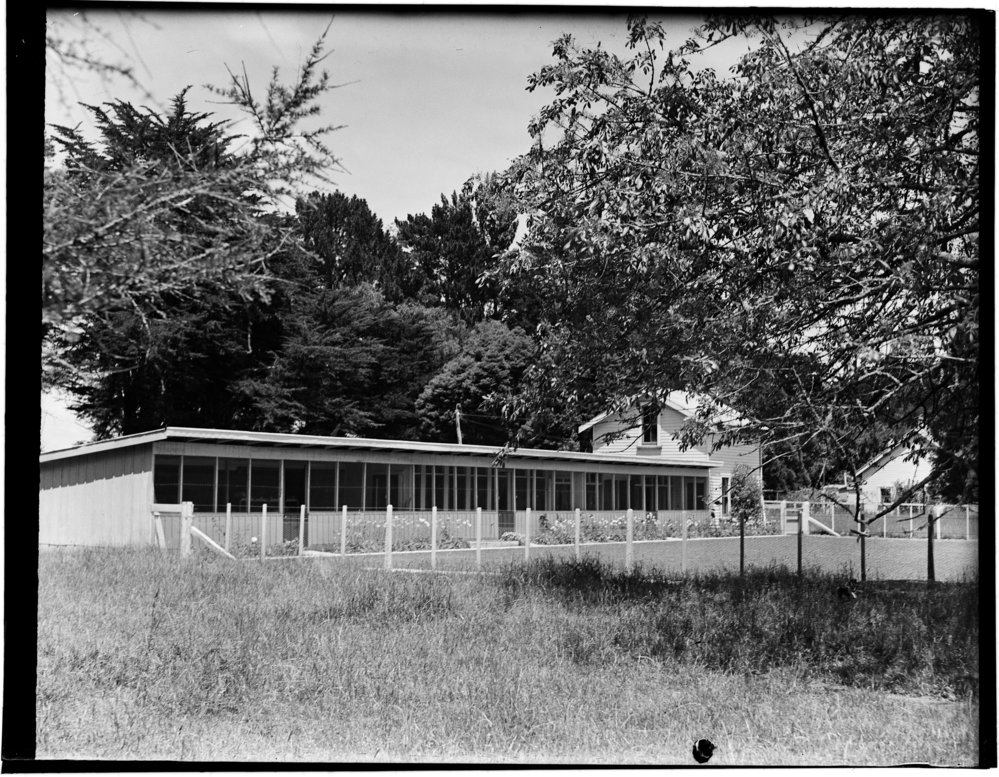 Small Animal House: front view: close-up, 2