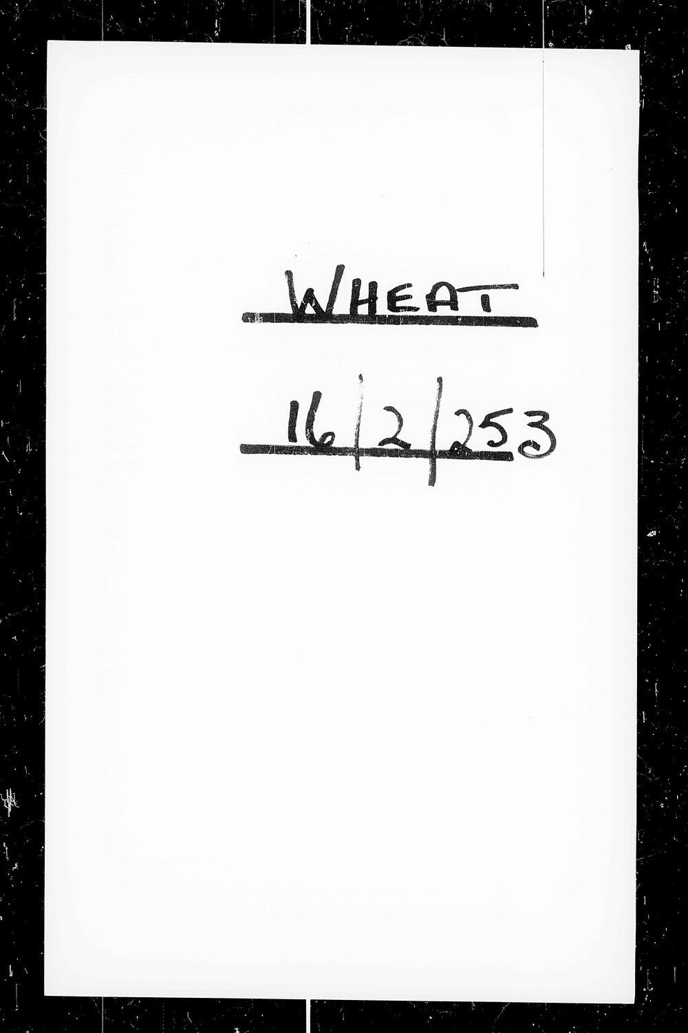 Wheat trial reports: Marton Experimental Area