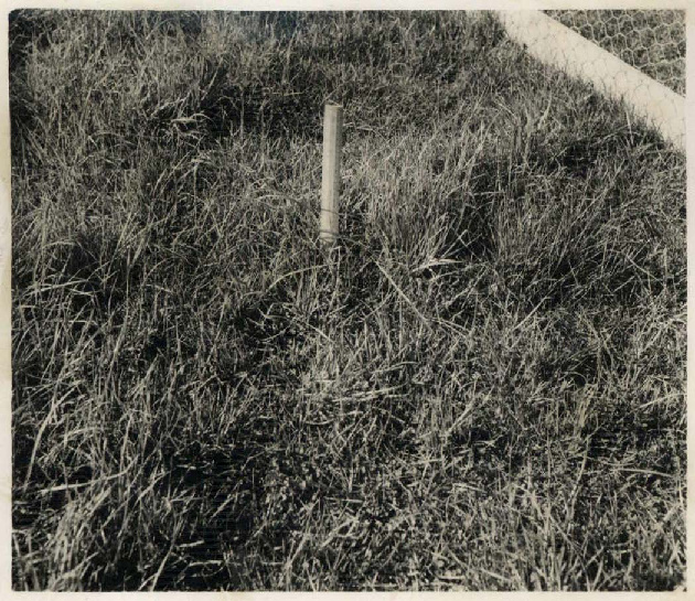 Drainage frame on a drained plot: close-up: image and reverse of card