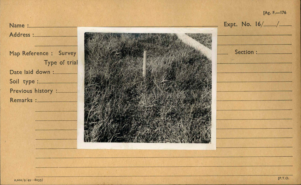 Drainage frame on a drained plot: close up: framed with index card