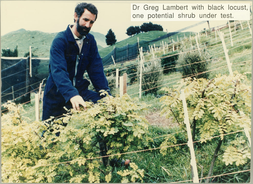 Greg Lambert (1948-2022) with black locust shrub