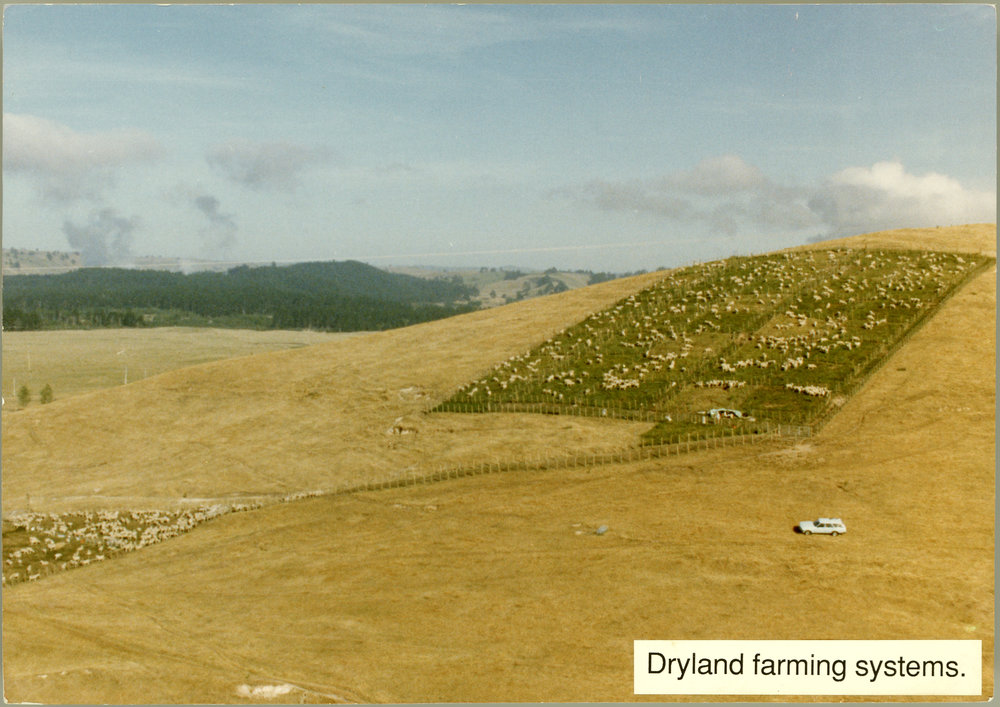 Dryland farming systems