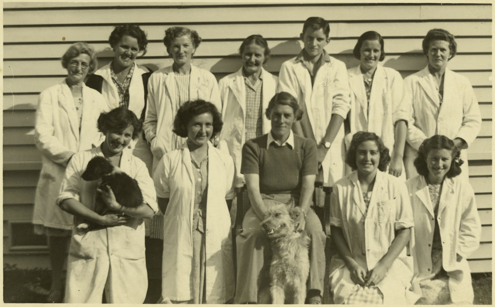 Bone scrappers, Ruakura