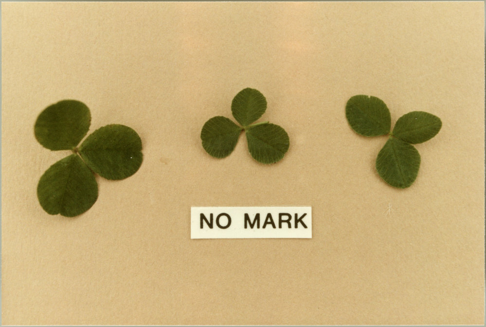 Clover leaves, no mark