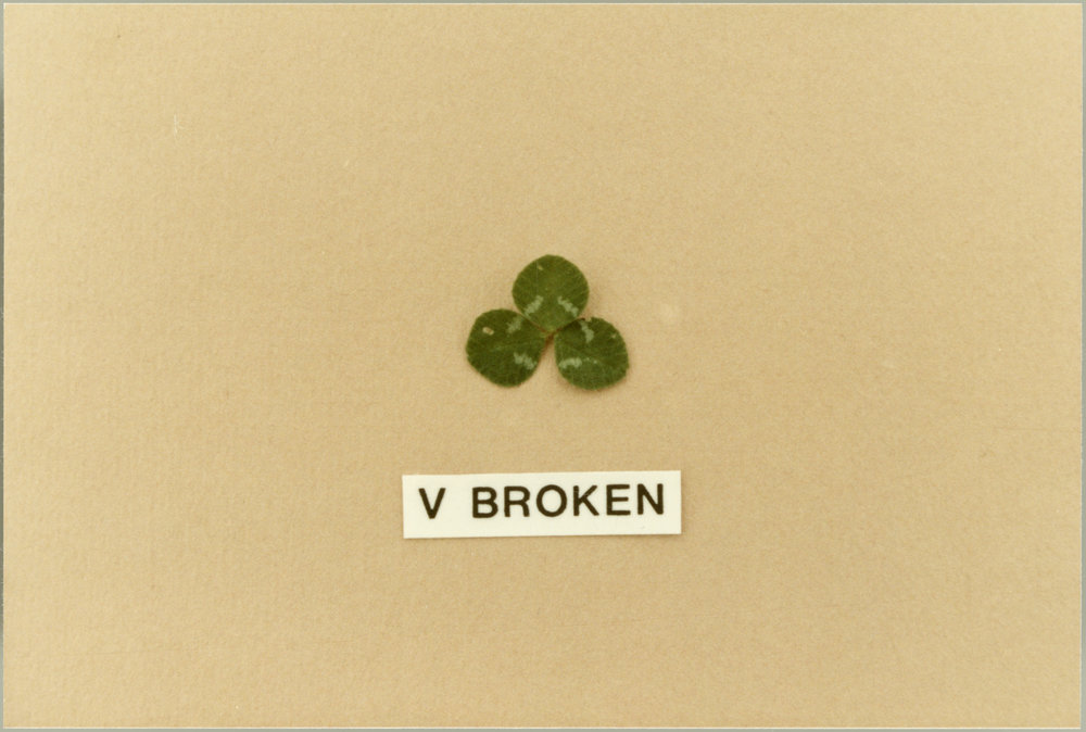 Clover leaf, V broken