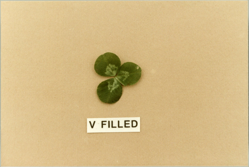 Clover leaf, V filled