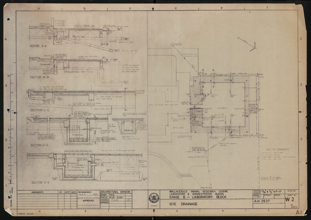 Wallaceville Laboratory Block: site drainage