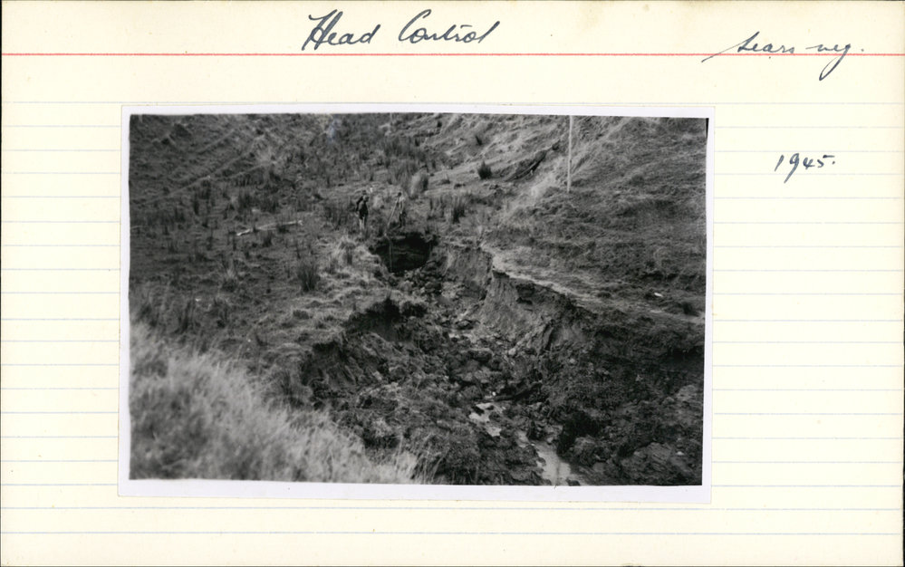 Gully head control, from above