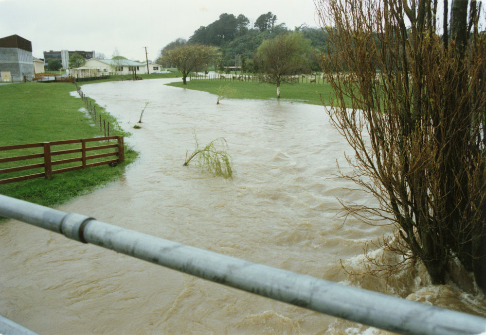 Turitea stream in flood. 1. General view