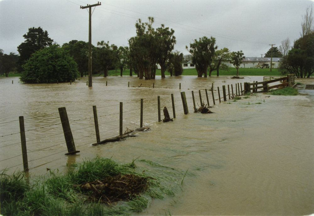 Turitea stream in flood. 5. Grasslands paddocks