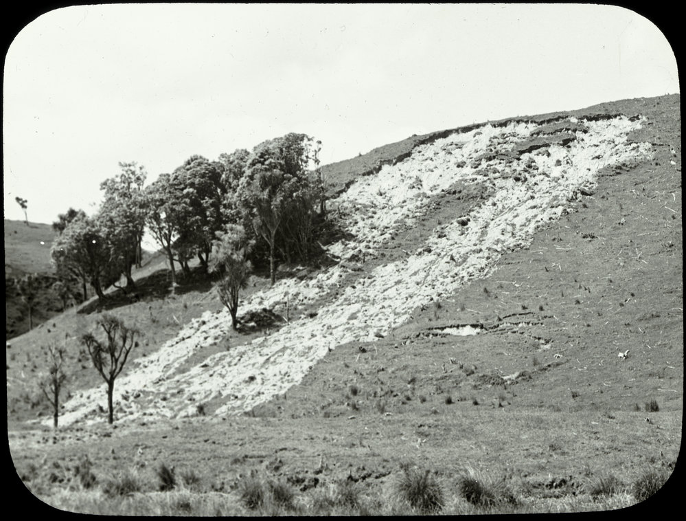 Scarring after a land slip