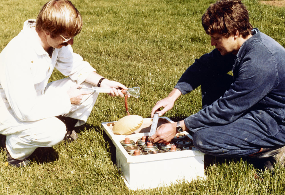 Field measurement. 1.