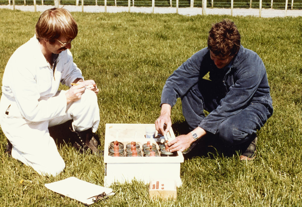 Field measurement. 2.