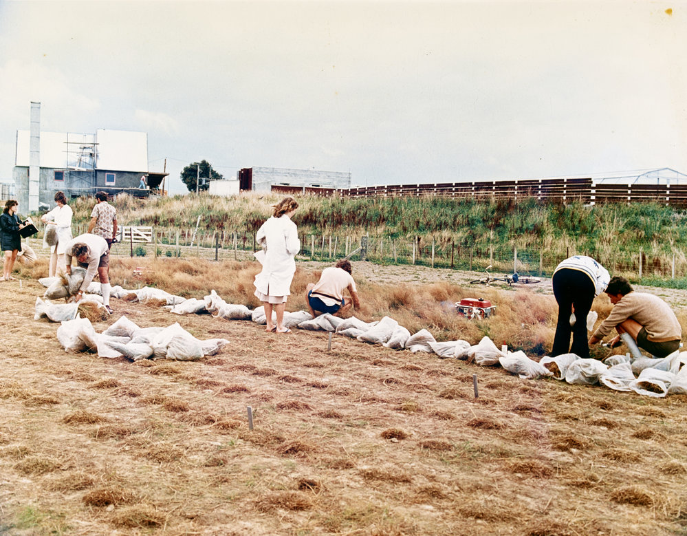 Harvesting spaced plants