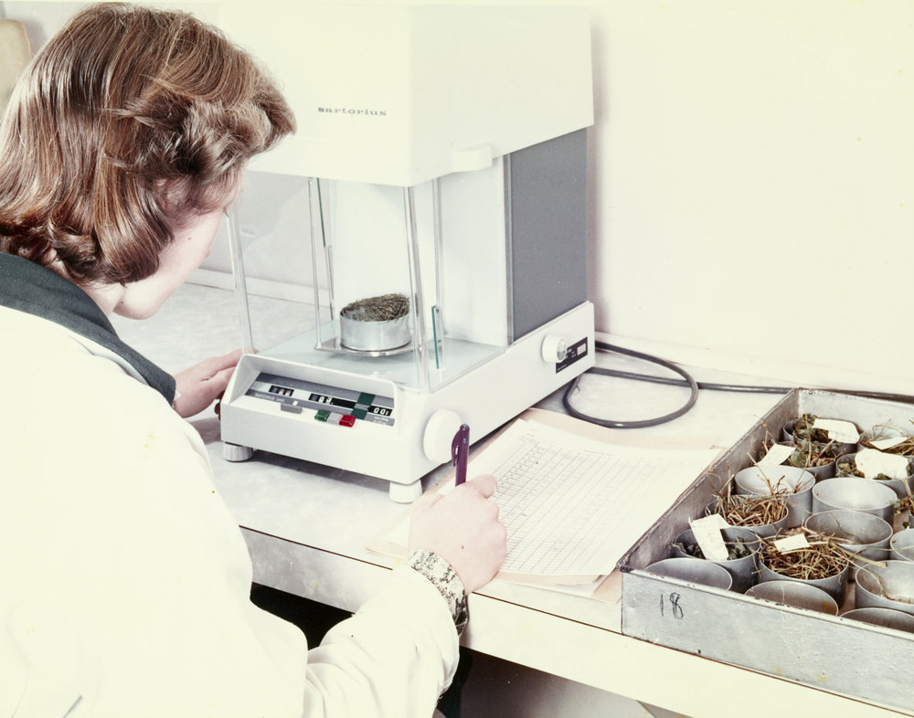 Weighing plant material