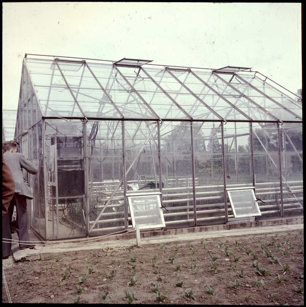 Glasshouse, Grasslands