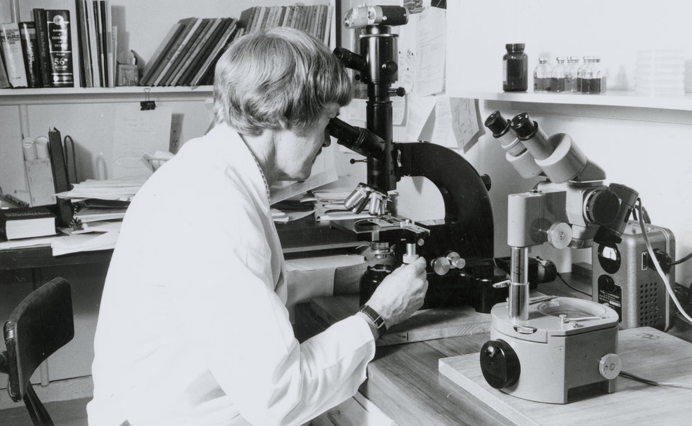 Keith Joblin looking in a microscope