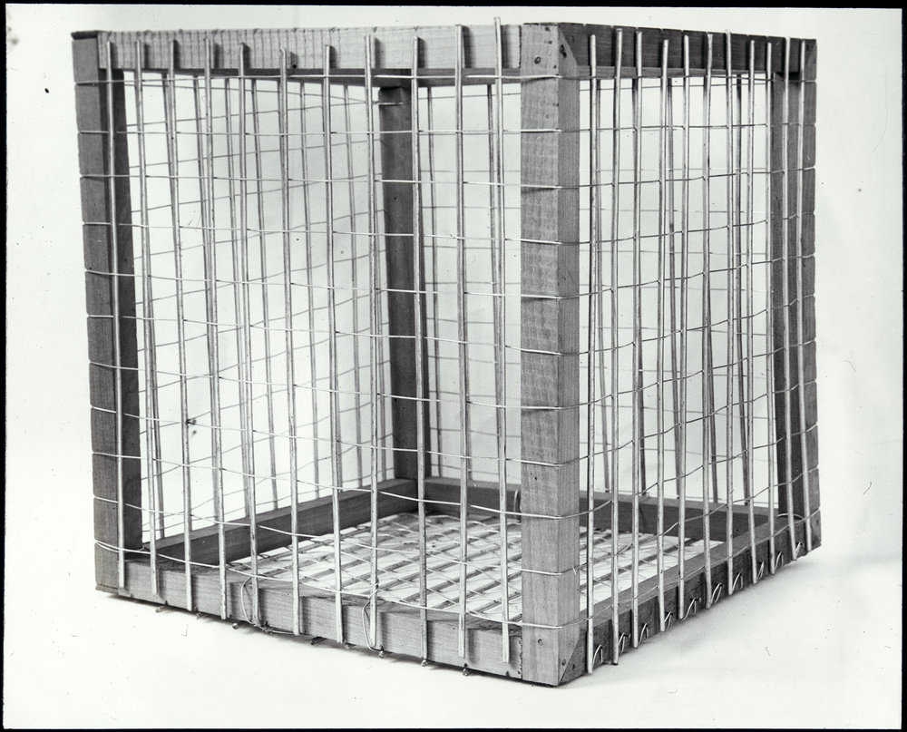 Containment crate for plants and crops