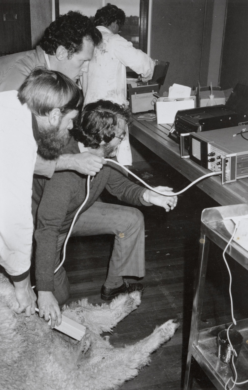 Multiple pregnancy testing in sheep. 1.