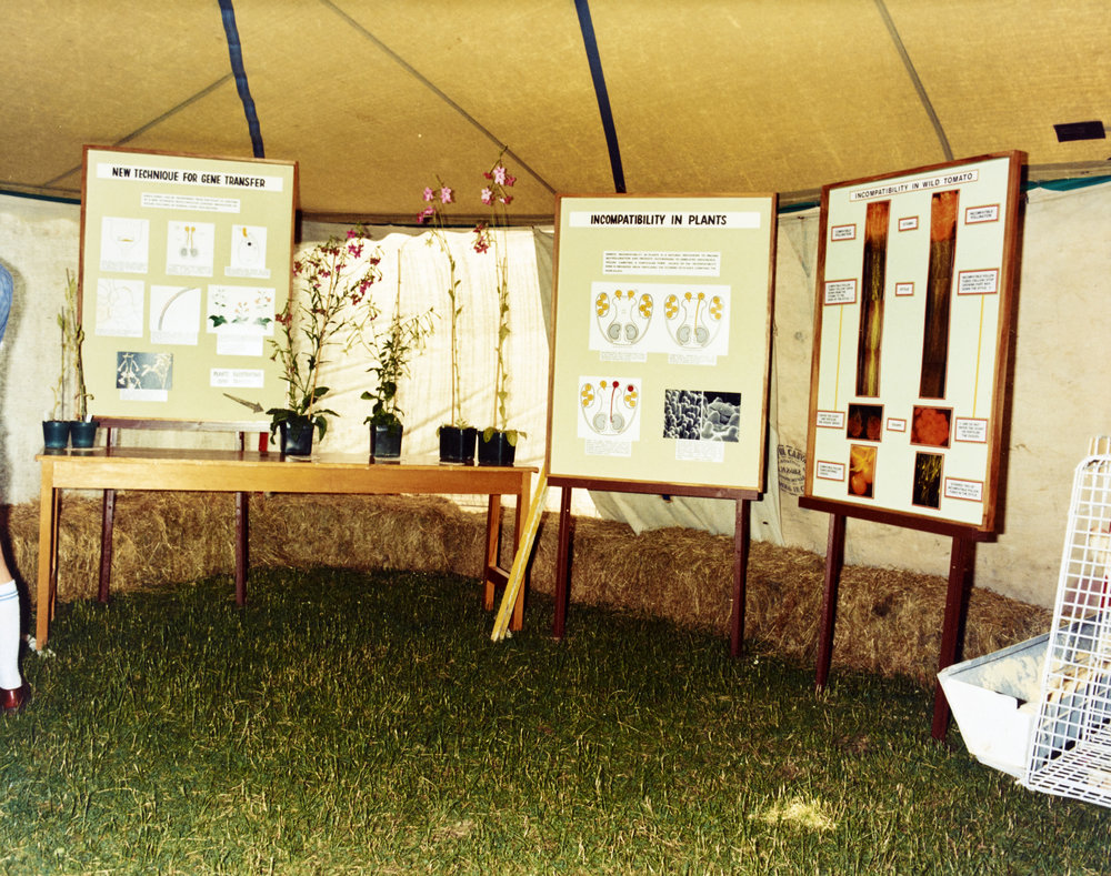 Aorangi Farm Open Day. 1. 