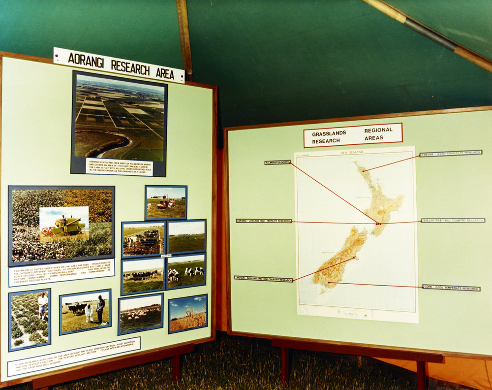 Aorangi Farm Open Day. 6. 