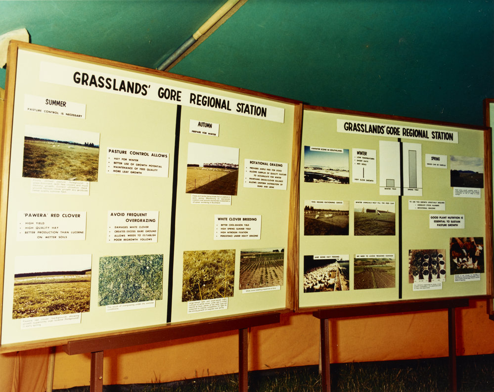 Aorangi Farm Open Day. 7. 