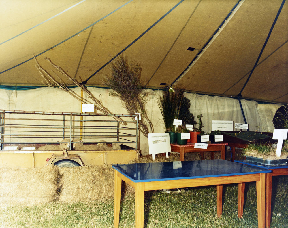 Aorangi Farm Open Day. 8. 