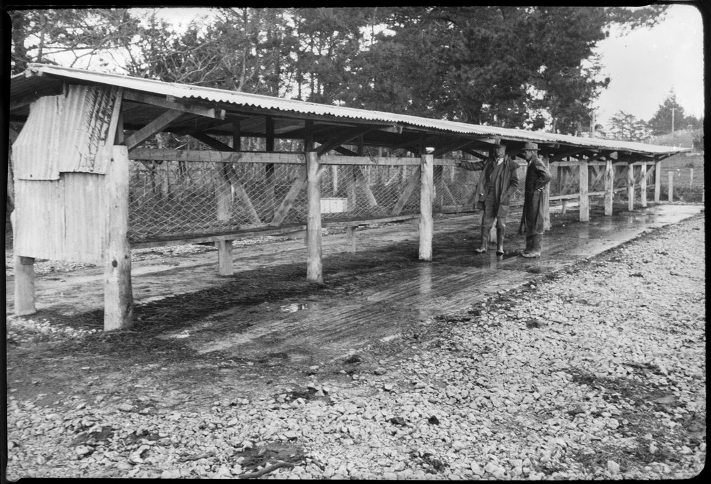 Viewing a dairy feeding station