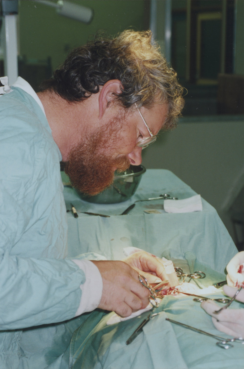 Garry Waghorn performing surgery on a sheep