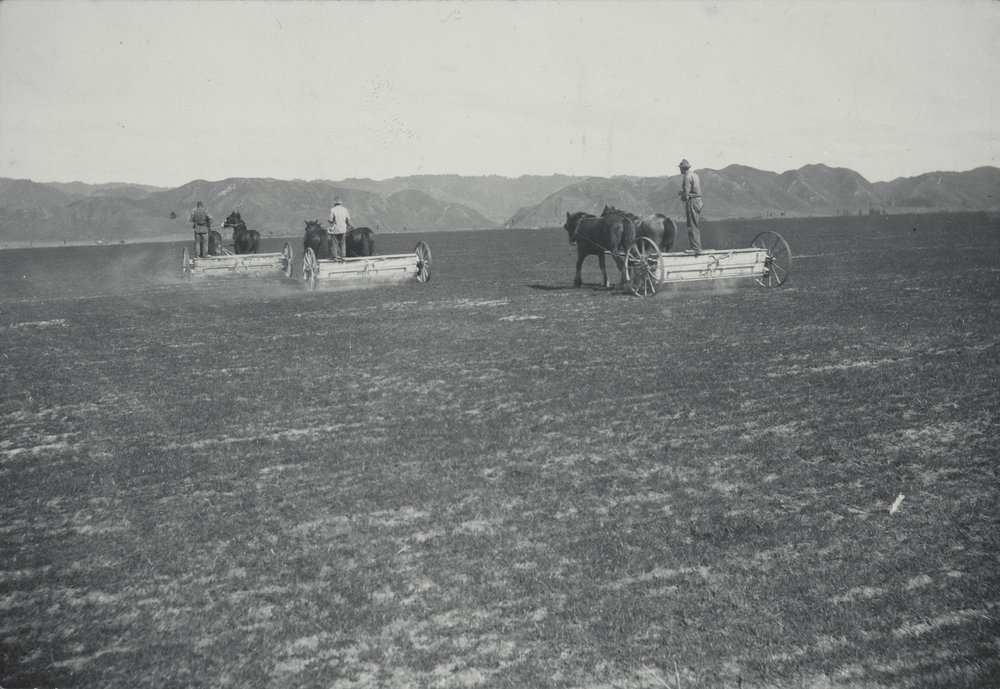 Taita Experimental Station. 1.
