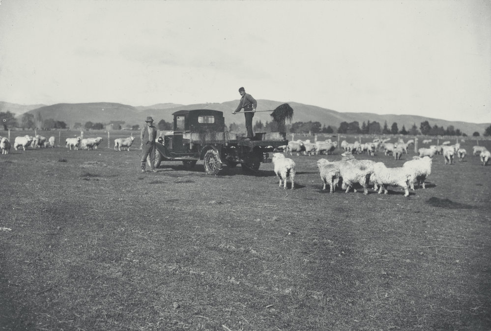 Taita Experimental Station. 4.