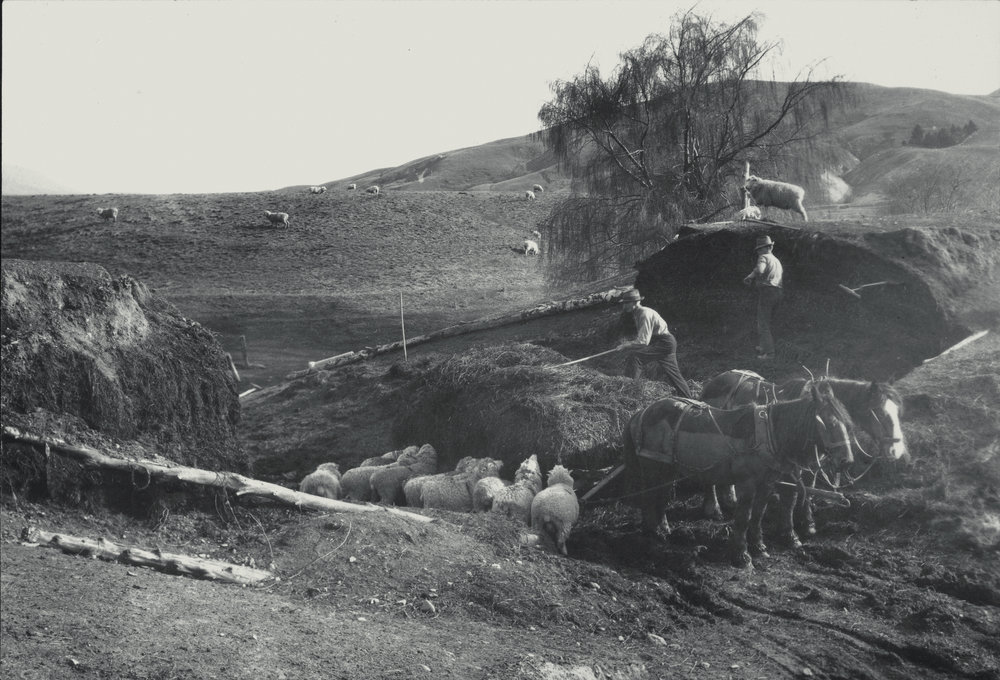 Taita Experimental Station. 10.