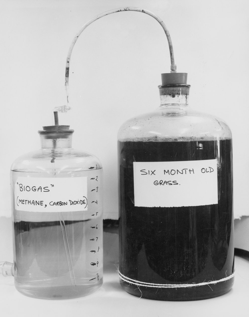 Biogas flasks