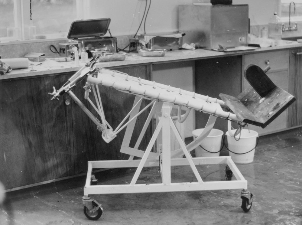 Operating table (Sheep). 1. Metal framed operating table with a canvas washable placement area