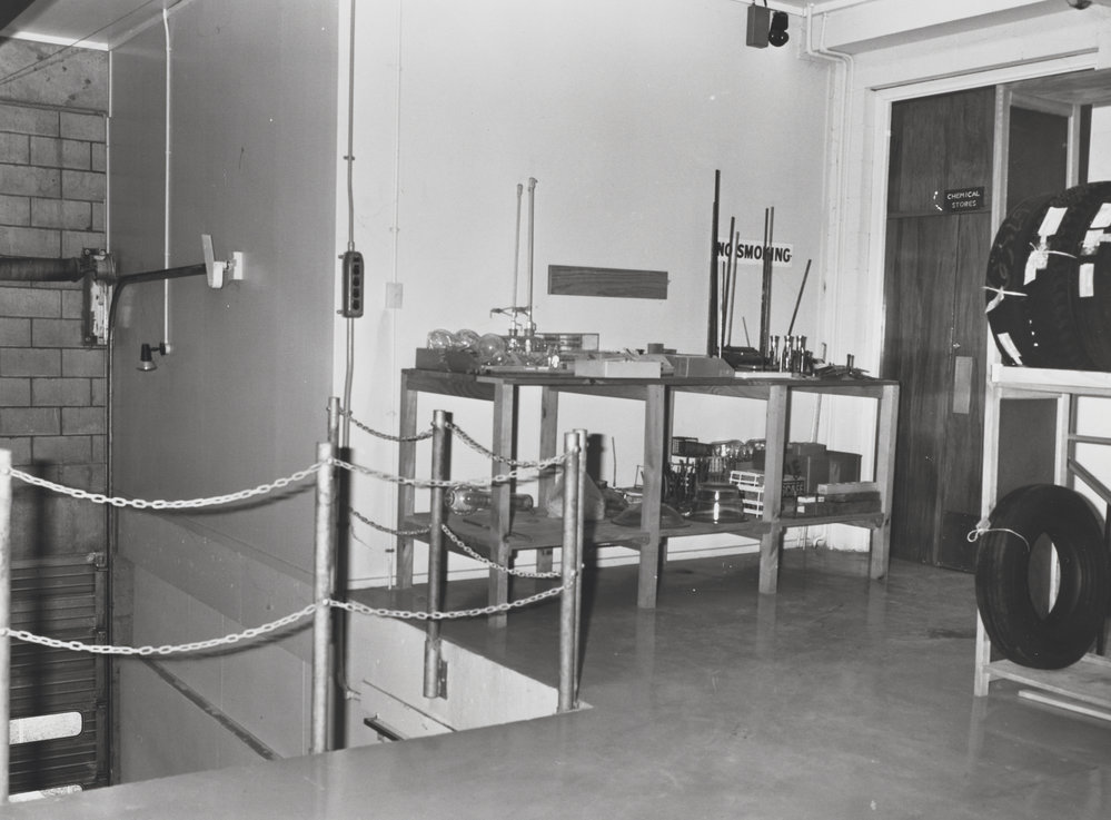 The Store, Grasslands. 5. Store items