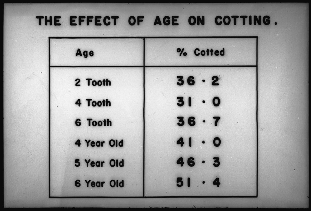 Effect of age on cotting