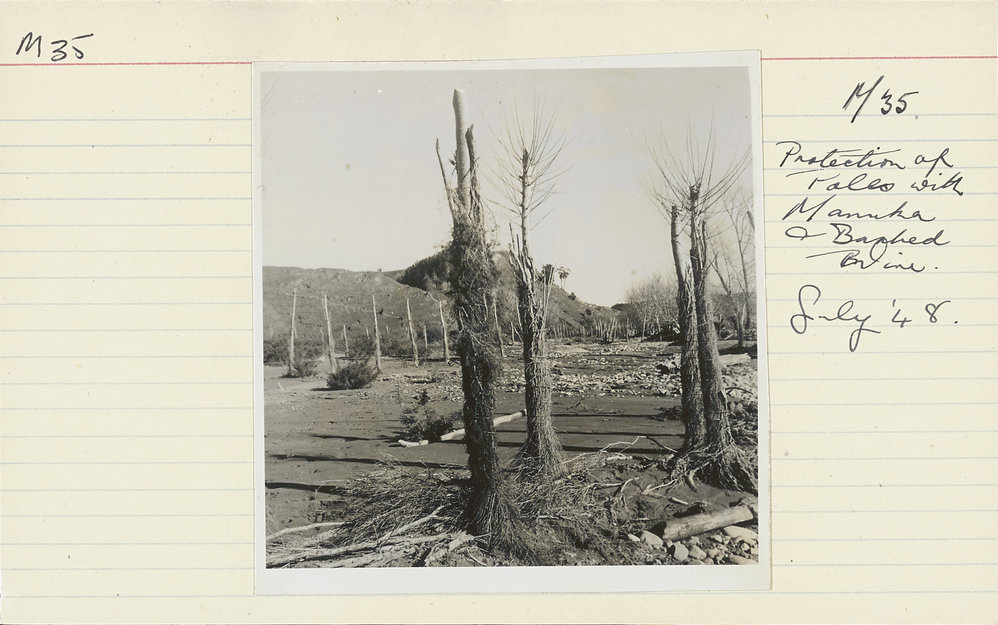 Groynes. 4. Protection of poles