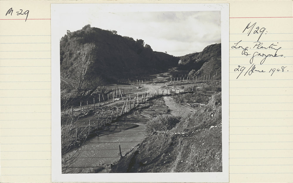 Groynes. 2. Pole planting and groynes