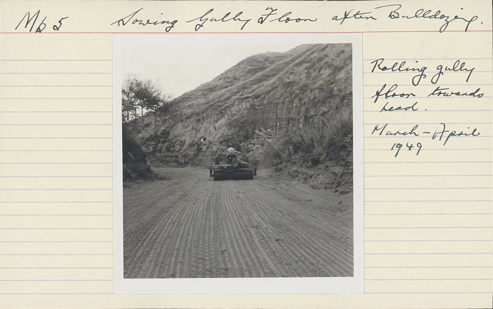 Sowing gully floor. 3. Gully floor