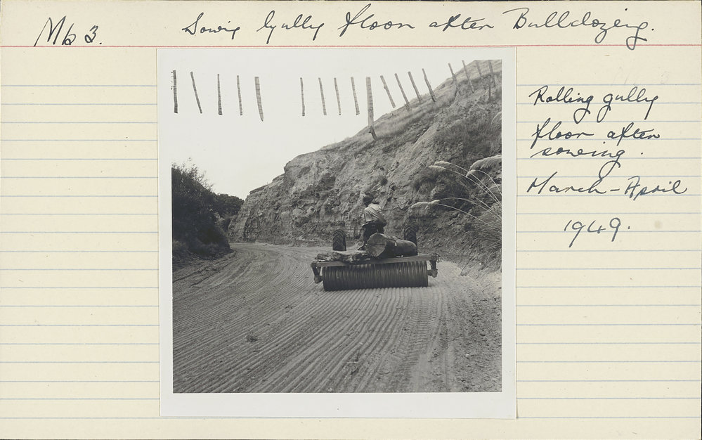 Sowing gully floor. 2. Rolling gully floor