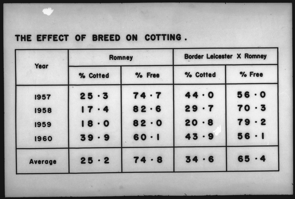 Effect of breed on cotting
