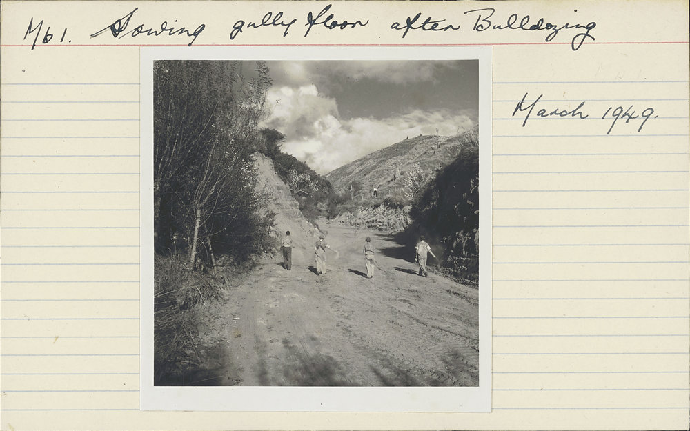 Sowing gully floor. 1. Seed sowing