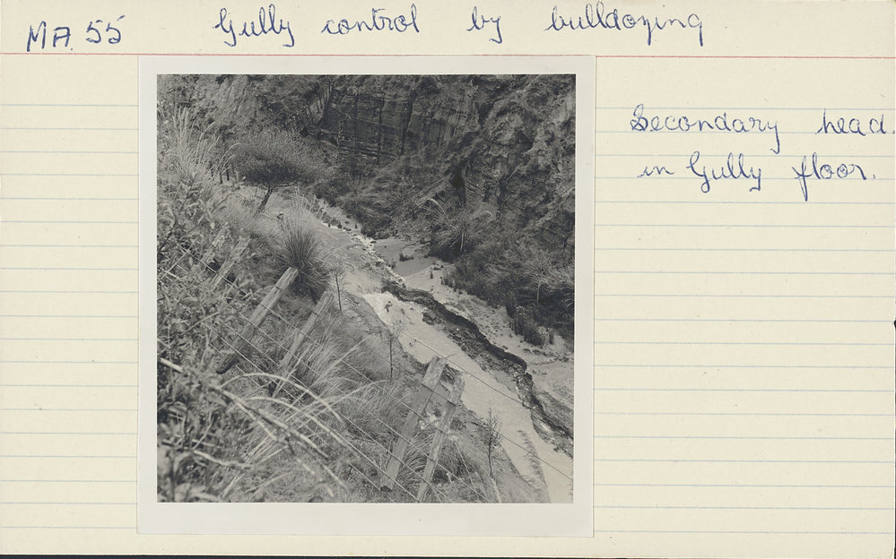 Gully control by bulldozing. 13. Secondary head in gully floor