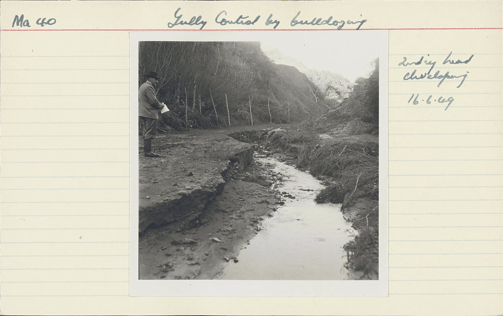 Gully control by bulldozing. 9. Secondary head development