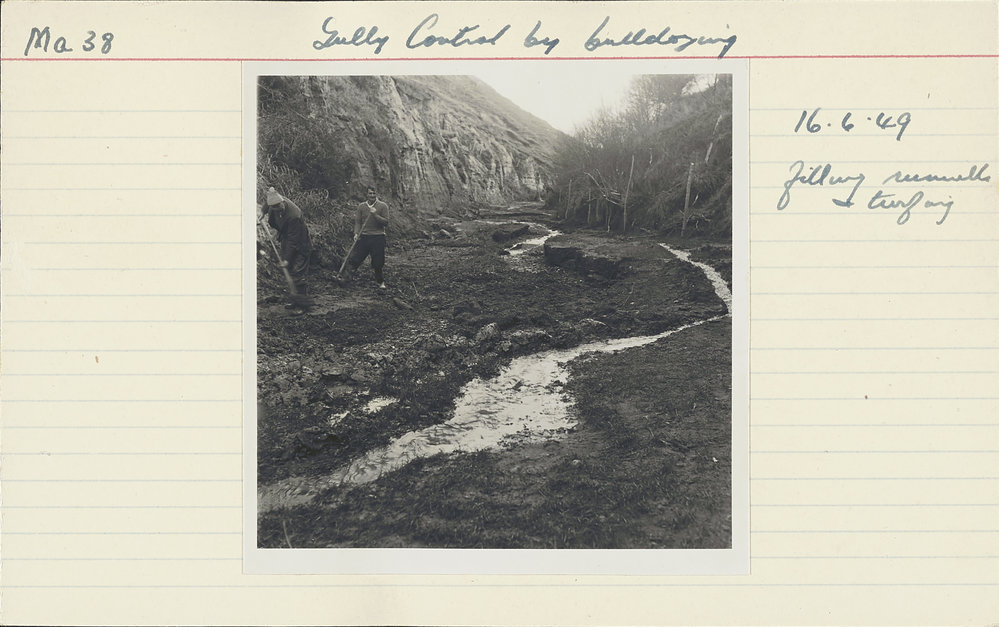 Gully control by bulldozing. 8. Filling runnels