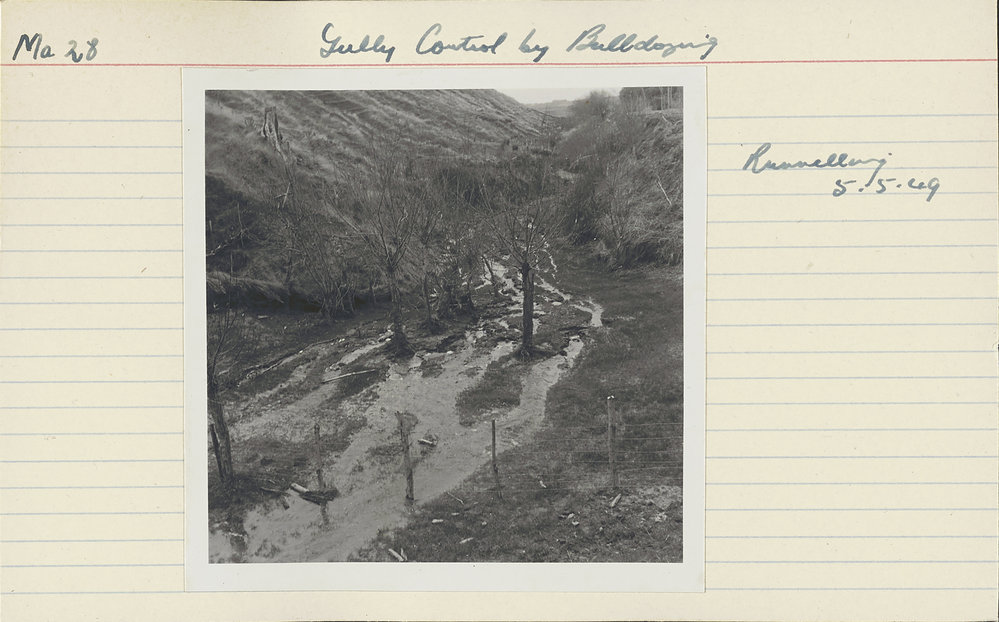Gully control by bulldozing. 6. Runneling