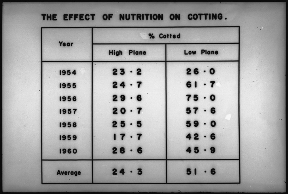 Effect of nutrition on cotting