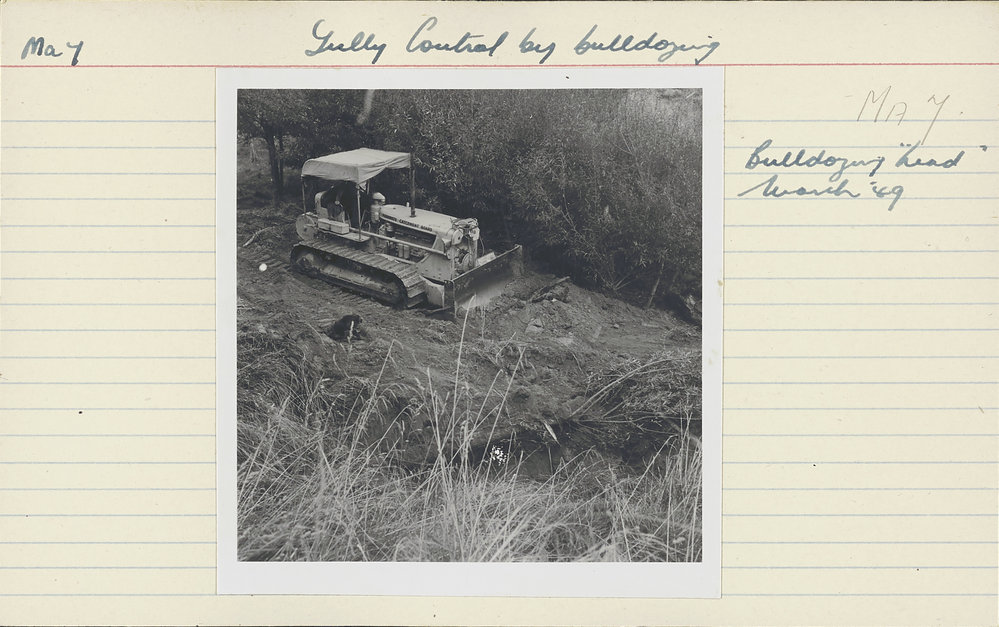 Gully control by bulldozing. 1. Bulldozing the head