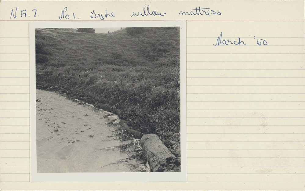 No. 1 type willow mattress. 3. Seven months after completion